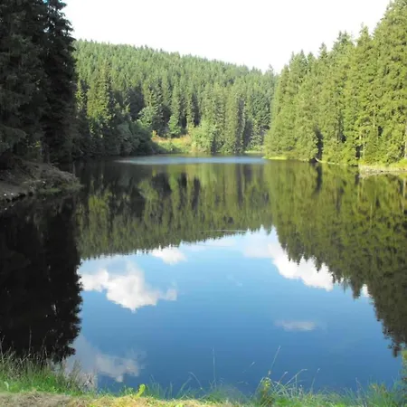 In Nahe Harzwald * Wildemann