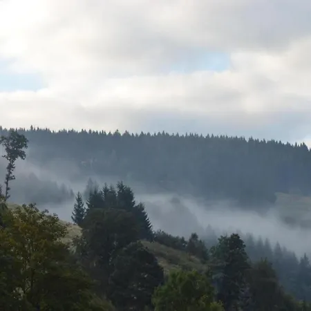 In Nahe Harzwald Apartment *