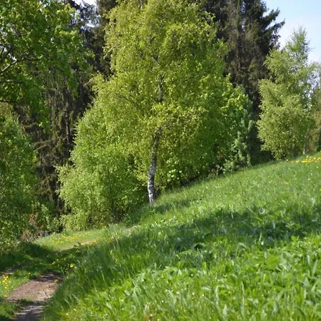 Apartment In Nahe Harzwald