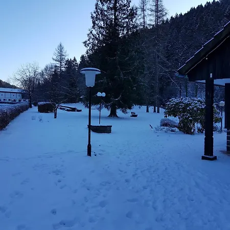 In Nahe Harzwald Apartment Wildemann