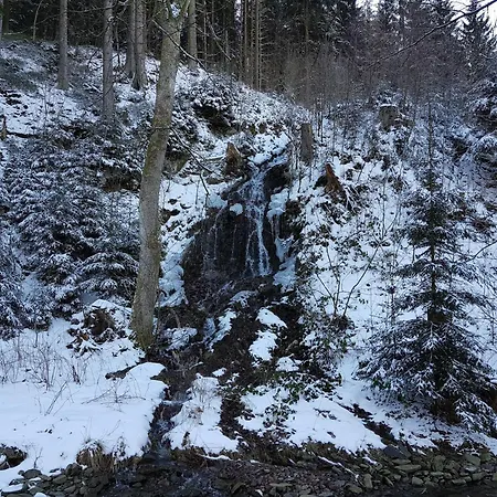 In Nahe Harzwald Wildemann