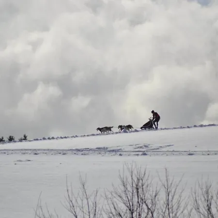 In Nahe Harzwald Apartment *