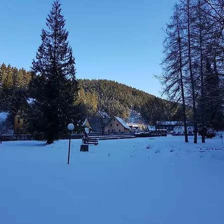 In Nahe Harzwald Wildemann