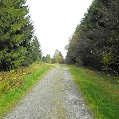 In Nahe Harzwald Apartment *