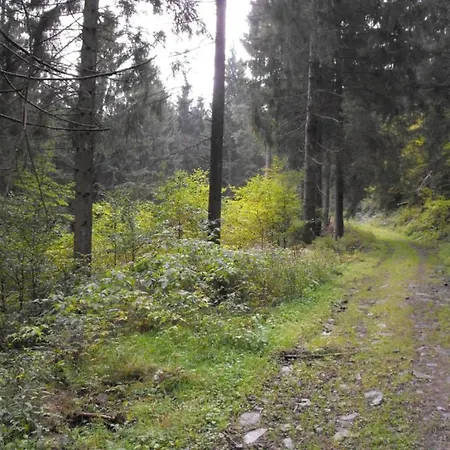 In Nahe Harzwald Apartment