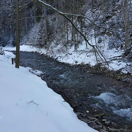 In Nahe Harzwald Apartment