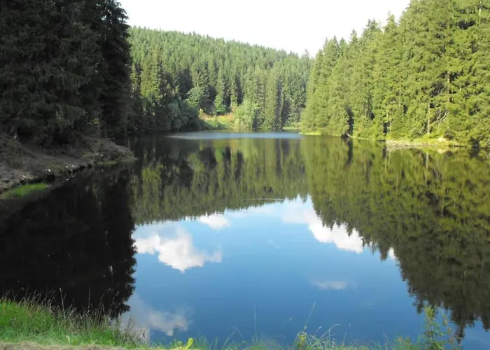 In Nahe Harzwald * Wildemann