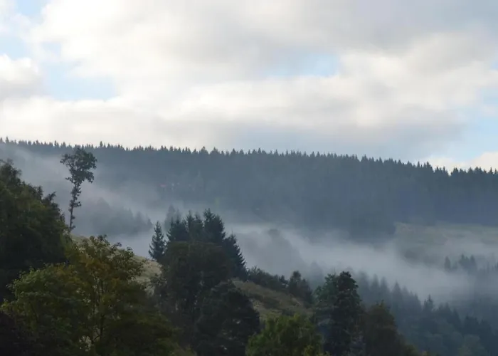 In Nahe Harzwald Διαμέρισμα *