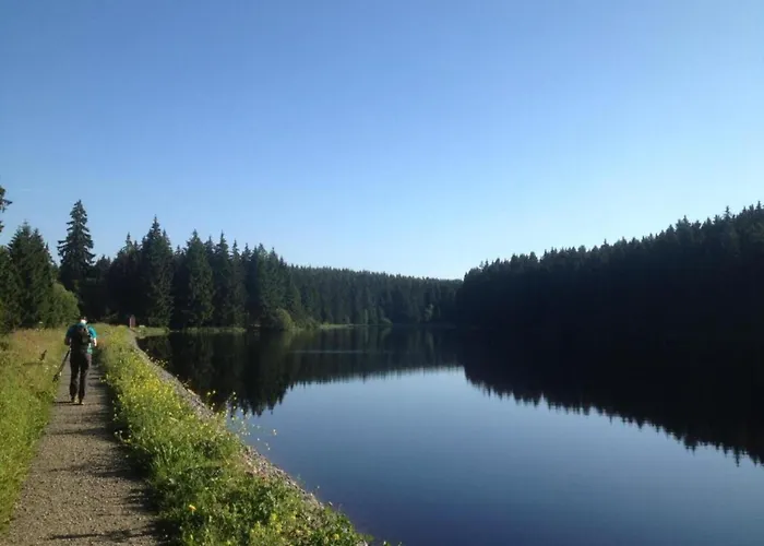 Διαμέρισμα In Nahe Harzwald *