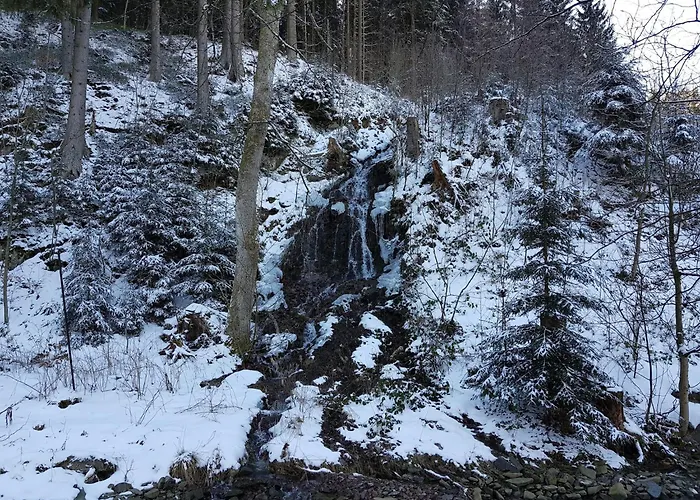 In Nahe Harzwald Wildemann