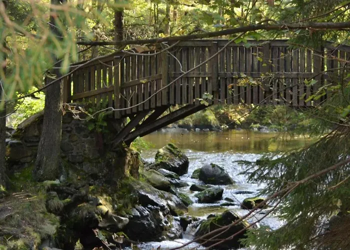 In Nahe Harzwald * Wildemann