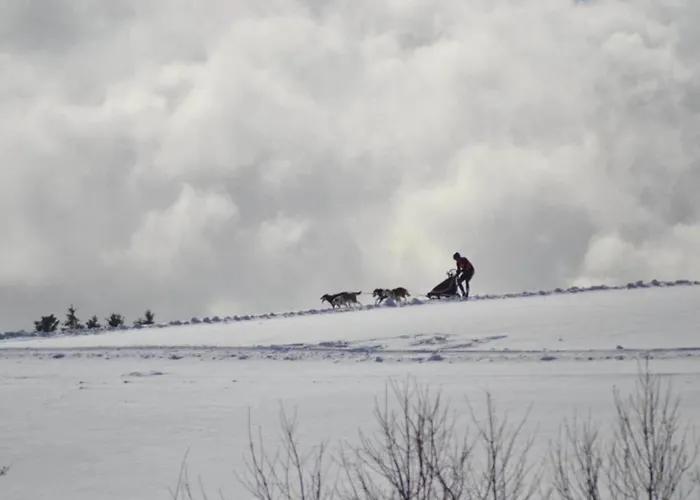 In Nahe Harzwald Διαμέρισμα *
