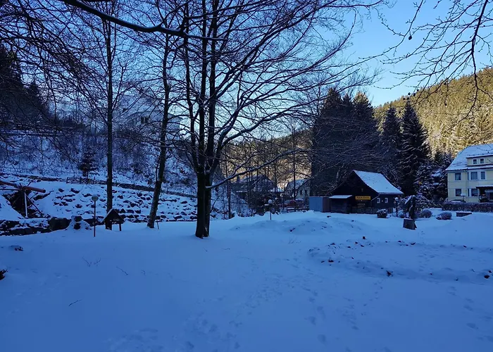 In Nahe Harzwald Διαμέρισμα