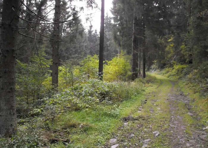 In Nahe Harzwald Διαμέρισμα