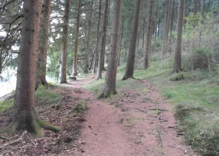 In Nahe Harzwald Διαμέρισμα *