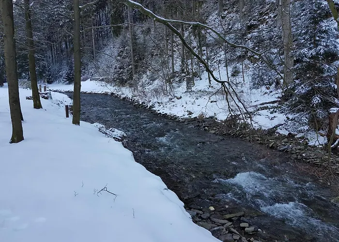 In Nahe Harzwald Διαμέρισμα